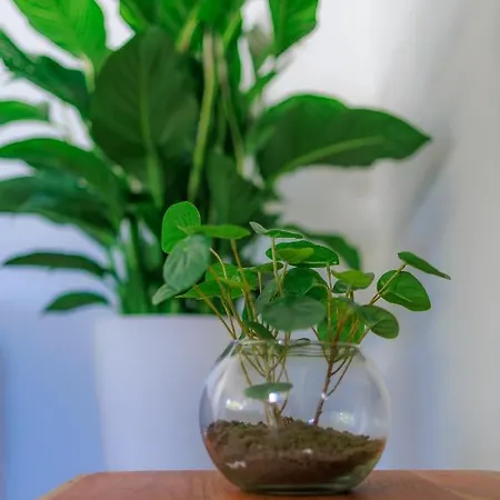 L'ardenne De Fideline Дом отдыха